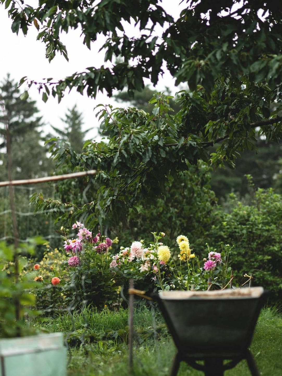 Préparer son jardin pour le printemps : les gestes essentiels