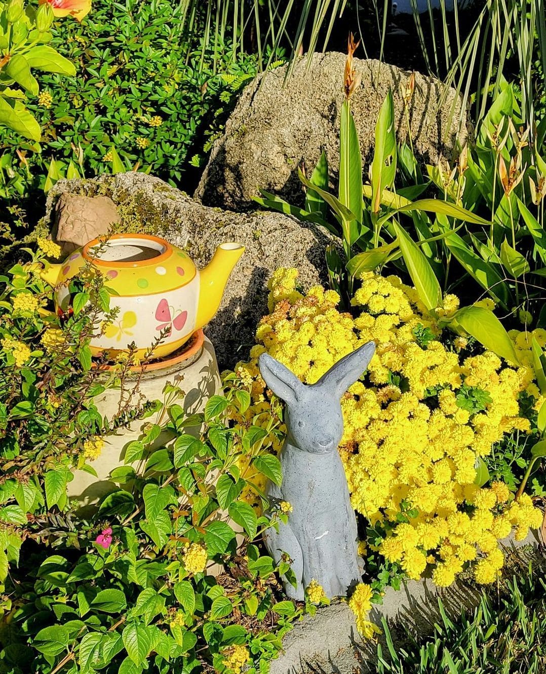 Arrosage intelligent : mieux gérer l’eau au jardin