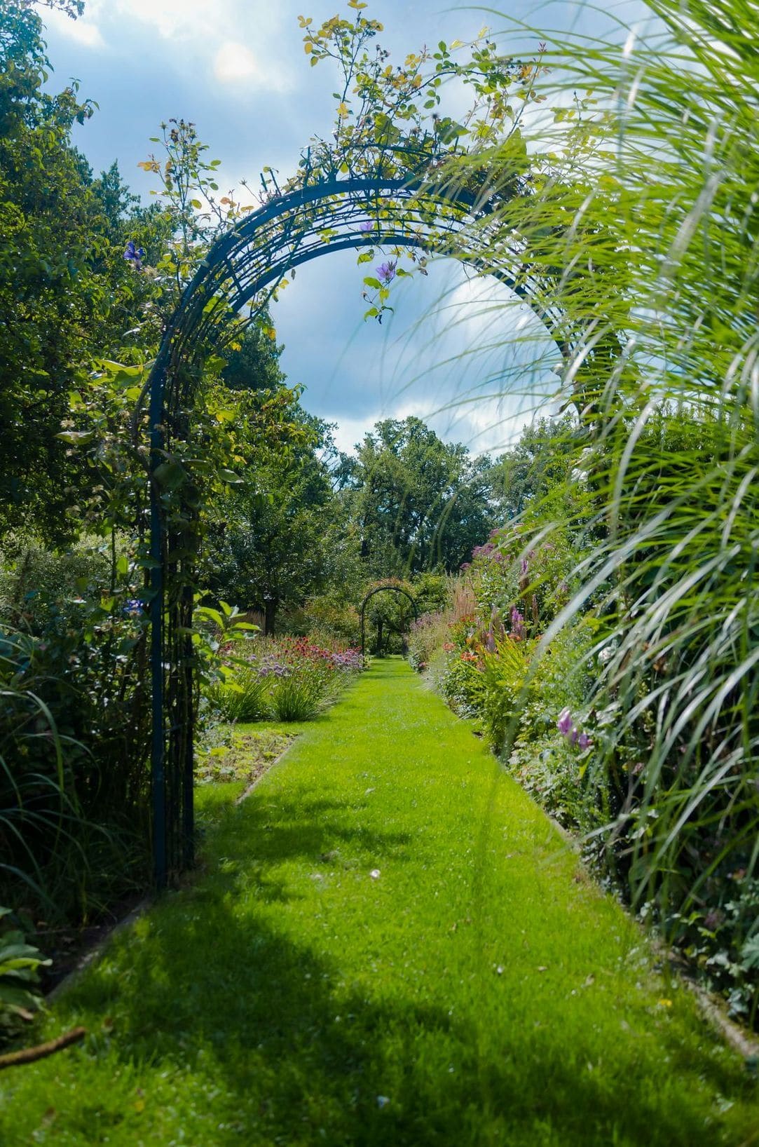 Jardin Harmonie 11