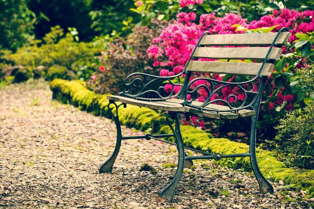 Jardin Harmonie 12