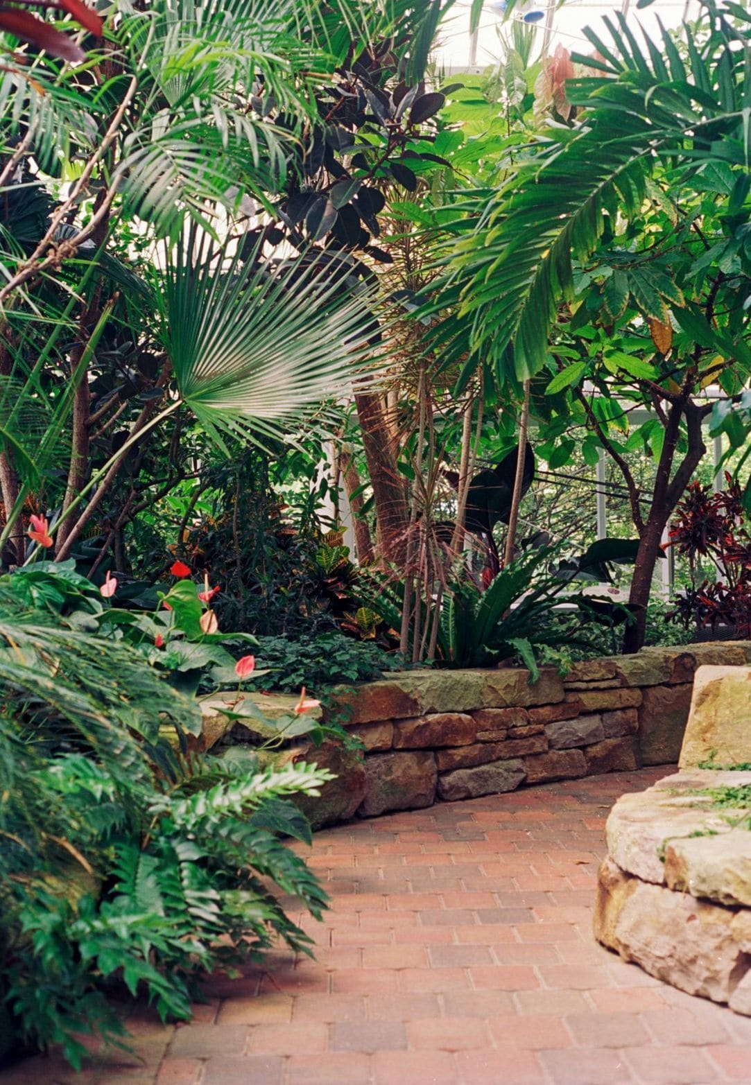 Jardin Harmonie 14