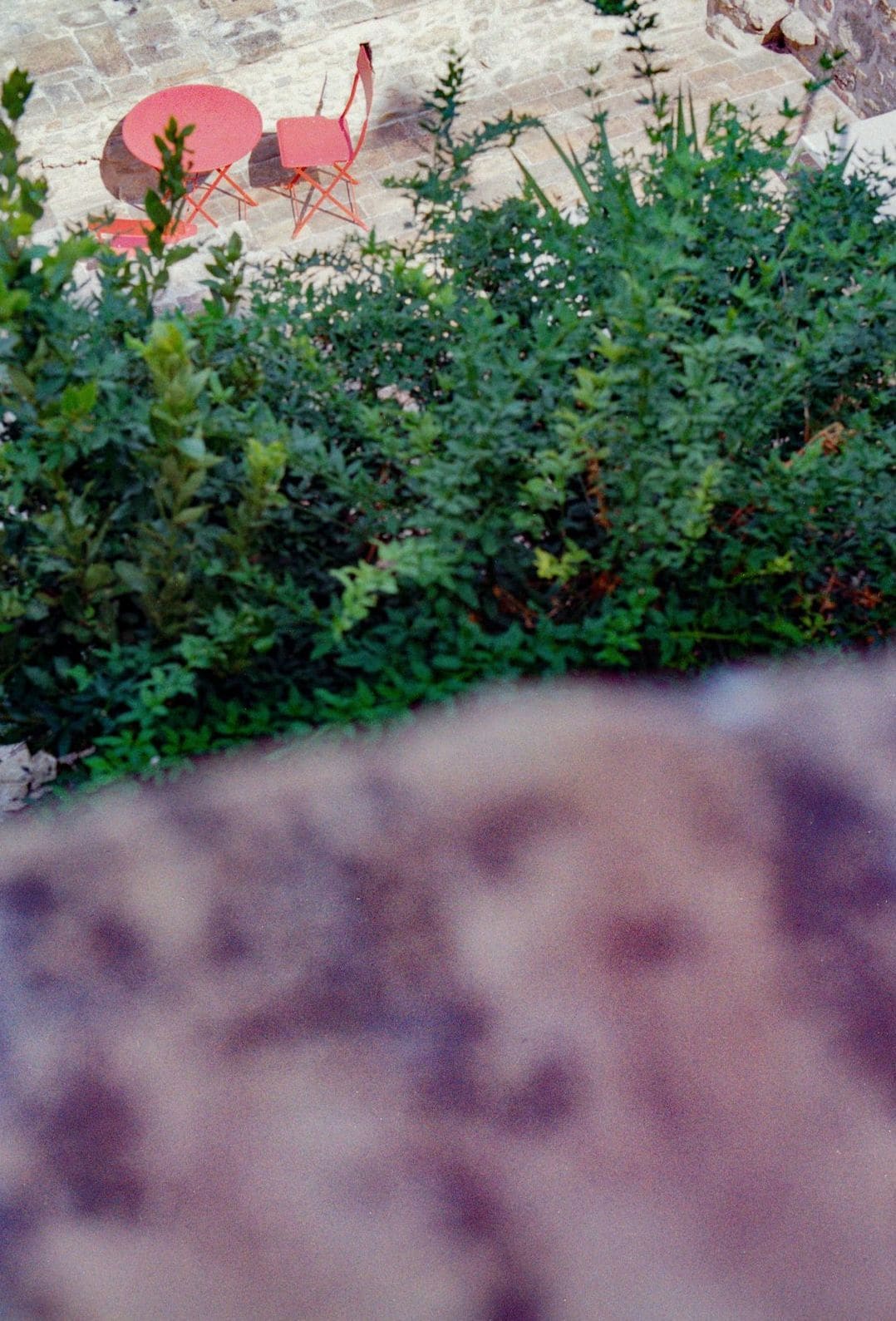 Jardin Harmonie 15