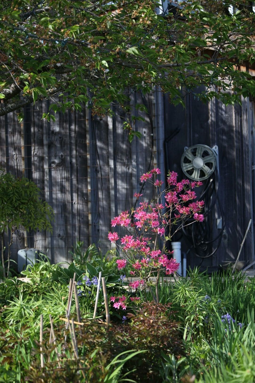 Jardin Harmonie 2