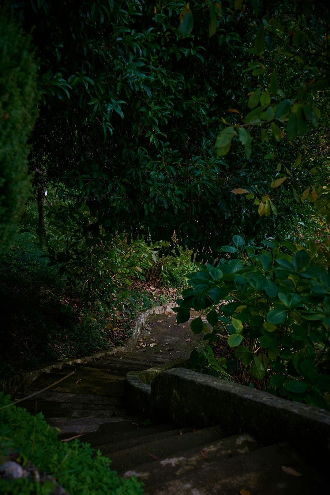 Jardin Harmonie 5