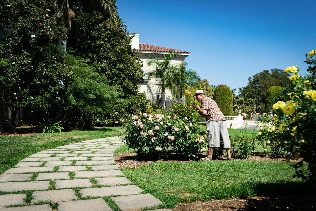 Jardin Harmonie 6