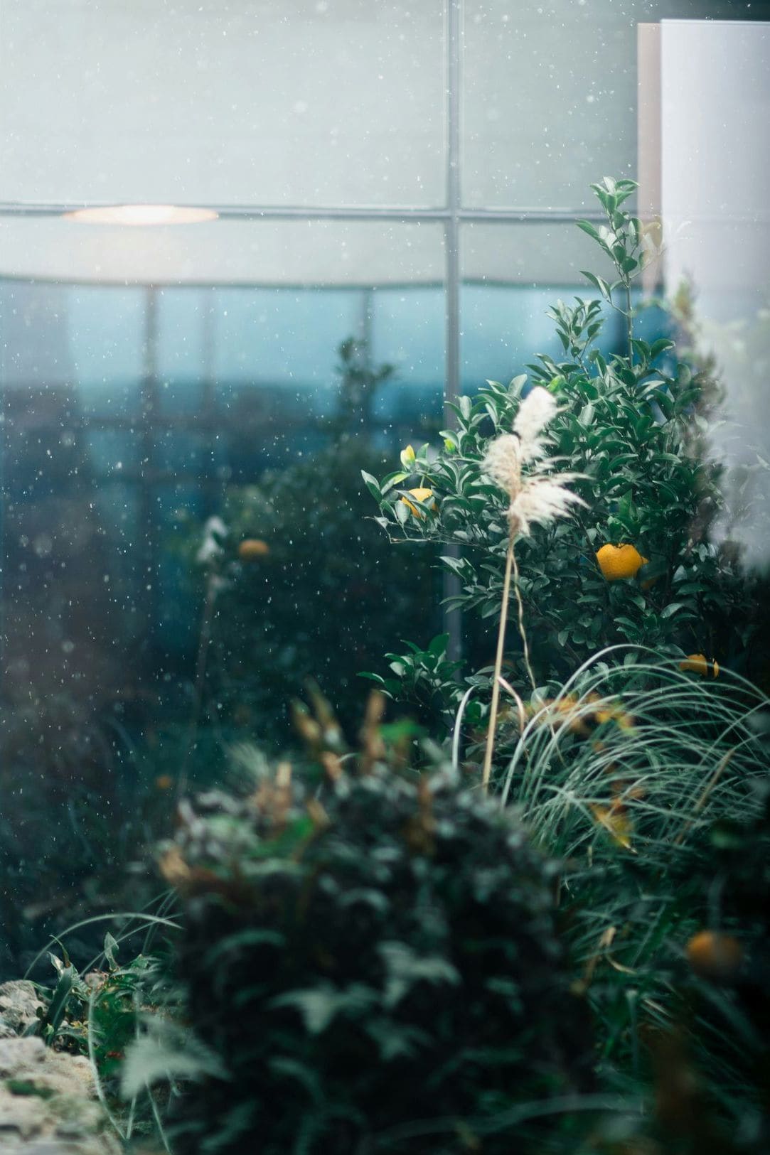 Jardin Harmonie 7