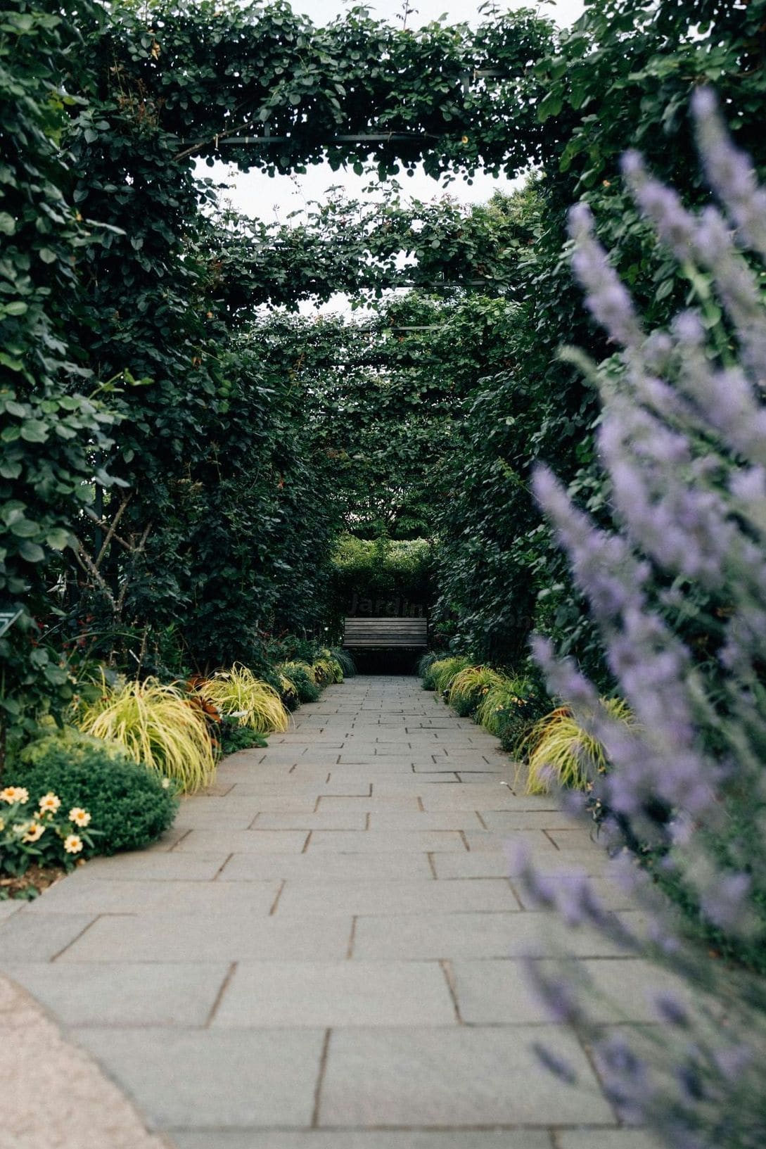 Jardin Harmonie 9