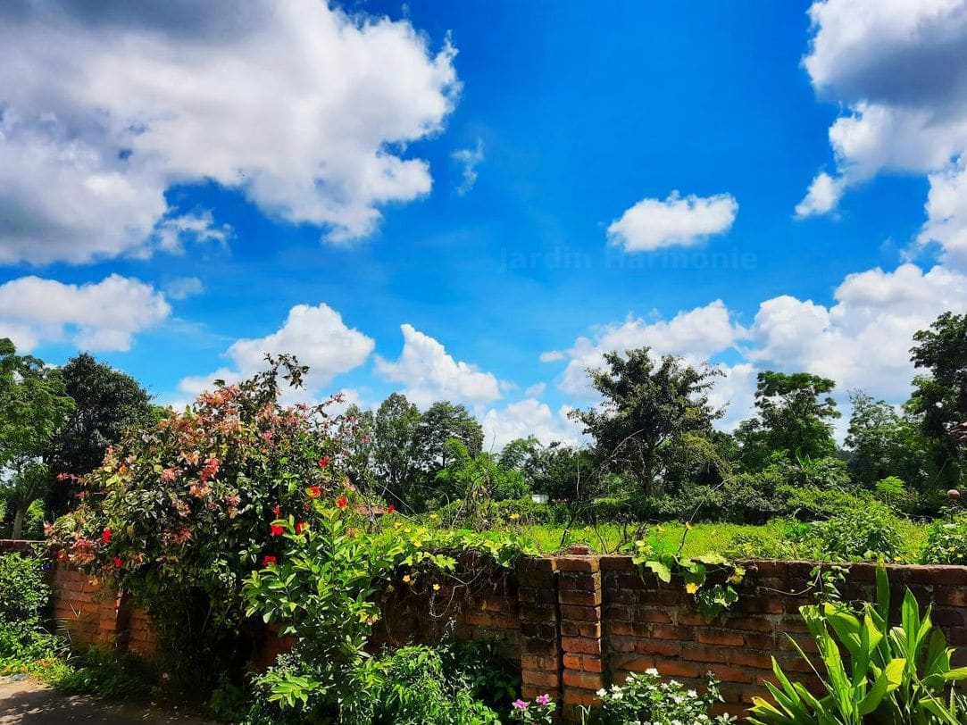 Création et aménagement de jardin